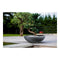Blumentopf EDA Graphit Washbasin Kunststoff Dunkelgrau (Ø 59 x 21 cm)