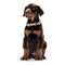 Hundehalsband Hunter Alu-Strong Schwarz Größe M (40-55 cm)