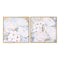 Bild DKD Home Decor Blomster Romantisch (2 Stück) (60 x 3,5 x 60 cm)