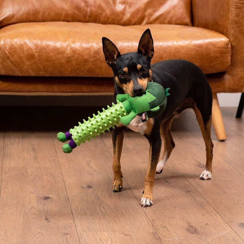 Hundespielzeug The Avengers   grün 100 % polyester