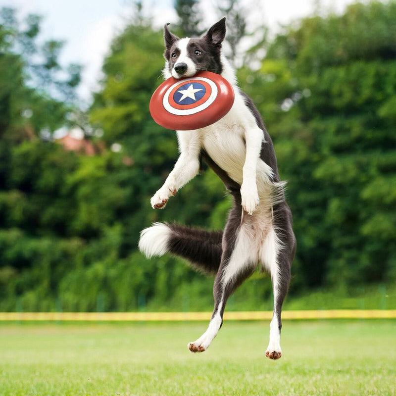 Frisbee The Avengers Rot